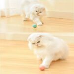 ⁦لعبه الكوره المتحركه⁩ - الصورة ⁦13⁩
