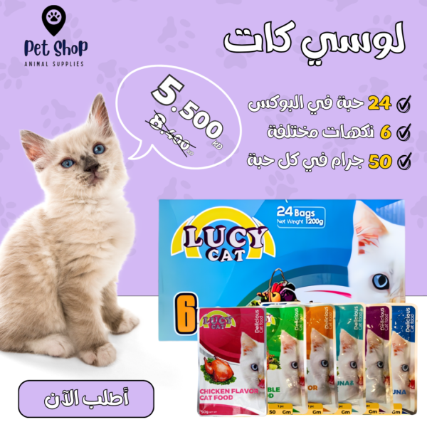 طعام رطب للقطط