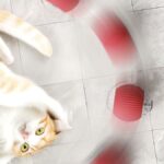 ⁦لعبة الكوره المتحركه⁩ - الصورة ⁦2⁩