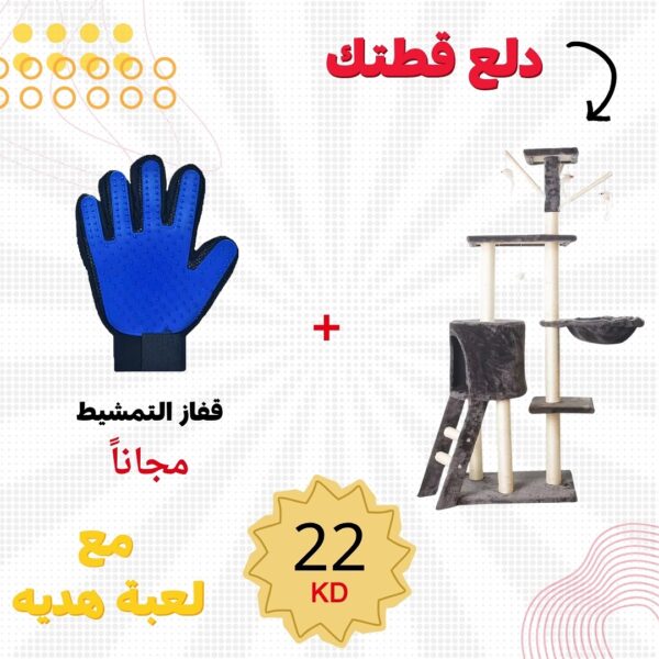 العرض 1