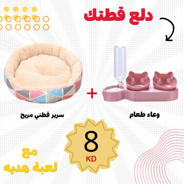 العرض 7