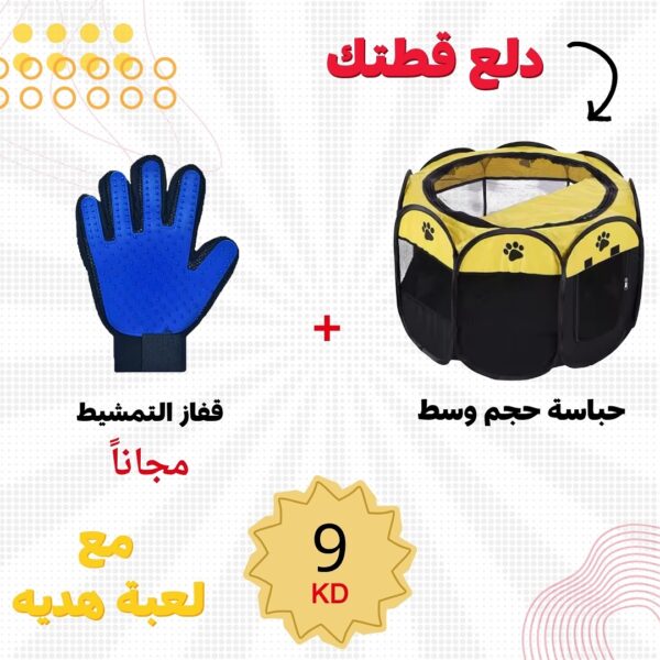 العرض 10