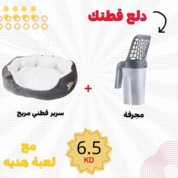العرض 3