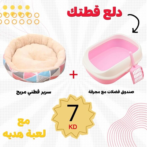 العرض 5