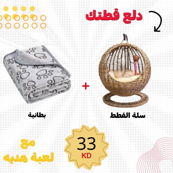 العرض 2