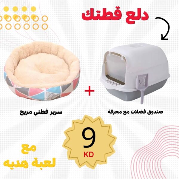 العرض 6