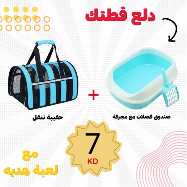 العرض 4