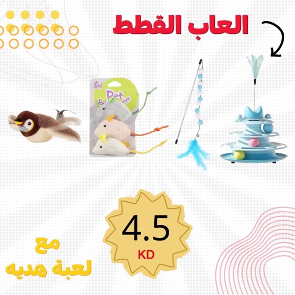 العرض 8
