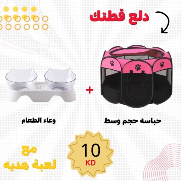 العرض 11
