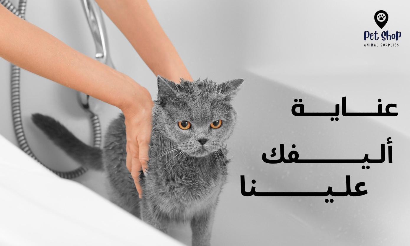 WhatsApp Image 2025-09-26 at 16.20.00