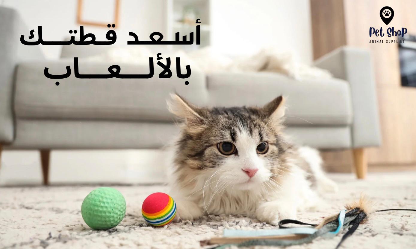 WhatsApp Image 2025-09-26 at 16.20.00(1)