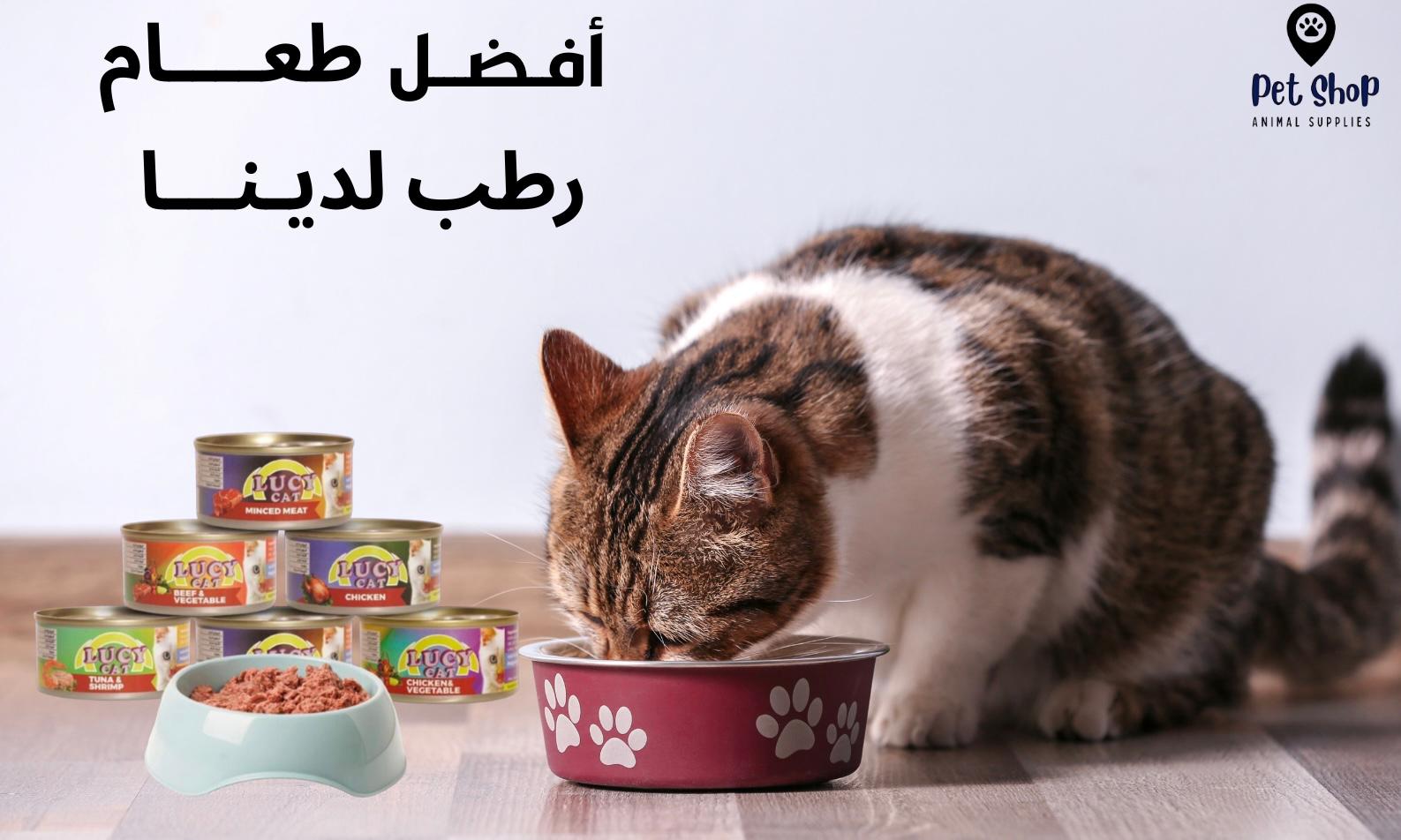 WhatsApp Image 2025-09-26 at 16.20.00(2)
