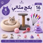 بكج مثالي