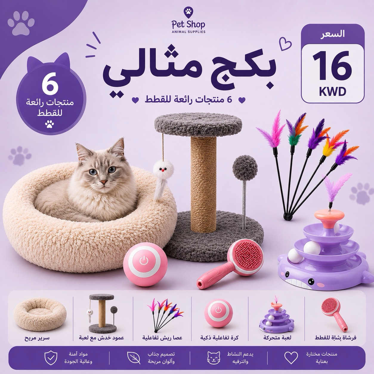 01cfb0e9-89b5-4a4d-a2e5-034335b36225 بكج مثالي - الصورة 1