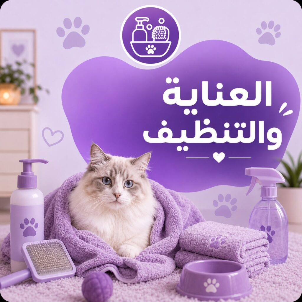 العنايه و التنظيف