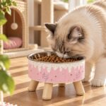 ⁦وعاء طعام مرتفع من الستانلس ستيل⁩ - الصورة ⁦2⁩